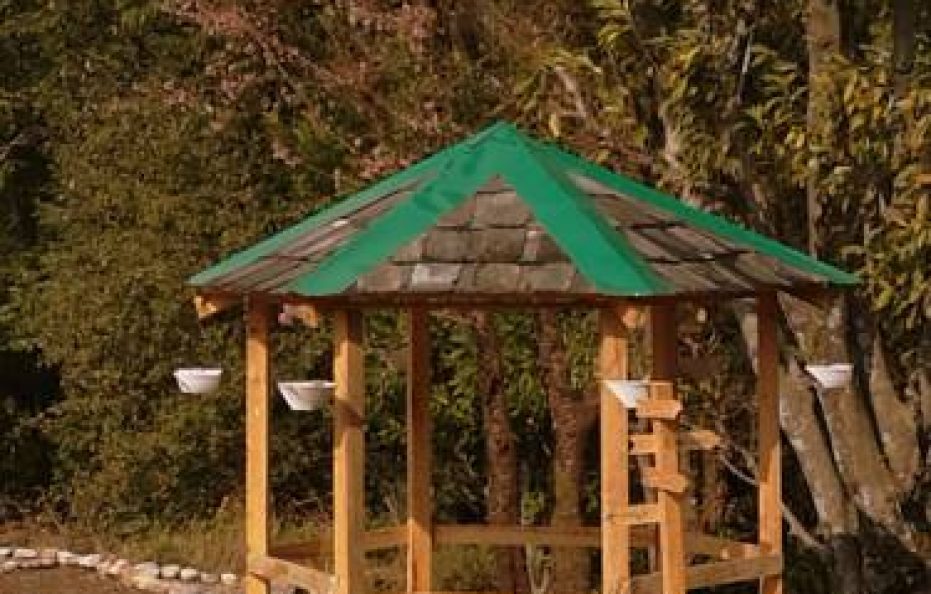 Standard Safari Tent With 3 beds