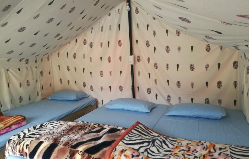 Standard Safari Tent With 3 beds
