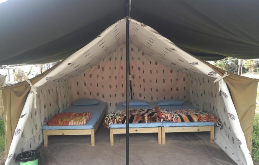 Standard Safari Tent With 3 beds