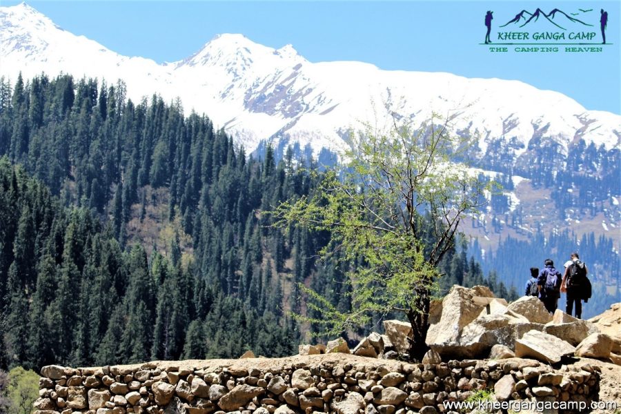 KASOL KHEERGANGA