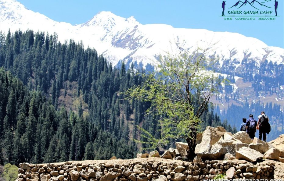 Standard Alpine Tent