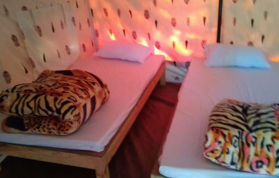 Standard Safari Tent With 3 beds