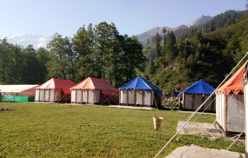 Camping at Solang Valley
