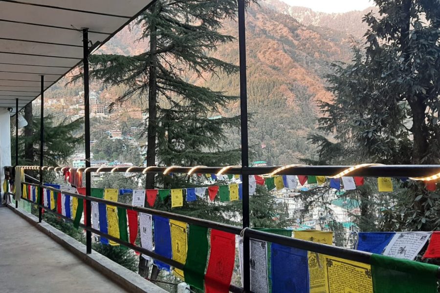 Thrilloamia Mcleodganj